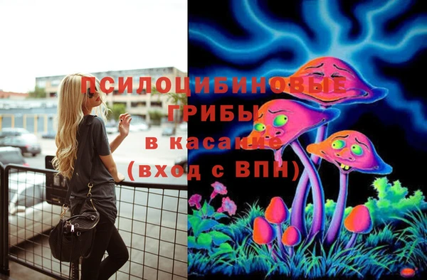 МДПВ Арсеньев
