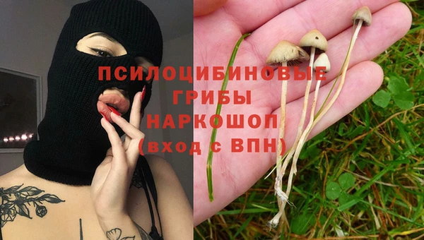a pvp Армянск