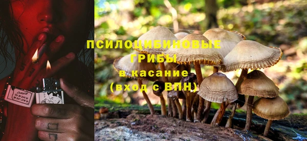 эйфоретик Аркадак