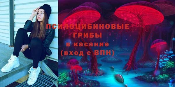 эйфоретик Аркадак